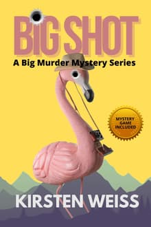 Book cover of Big Shot