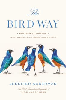 Book cover of The Bird Way: A New Look at How Birds Talk, Work, Play, Parent, and Think