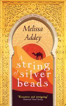 Book cover of A String of Silver Beads