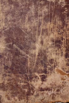 Book cover of The Mischianza