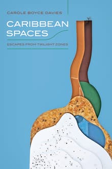 Book cover of Caribbean Spaces: Escapes from Twilight Zone