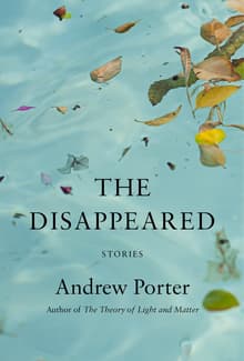 Book cover of The Disappeared: Stories