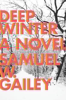 Book cover of Deep Winter: A Novel