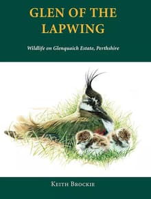 Book cover of Glen of the Lapwing
