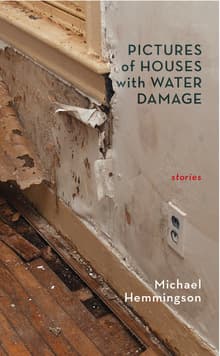 Book cover of Pictures of Houses with Water Damage