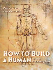 Book cover of How to Build a Human: In Seven Evolutionary Steps