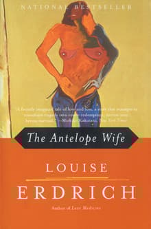 Book cover of The Antelope Wife