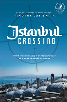 Book cover of Istanbul Crossing