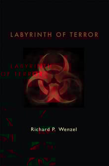 Book cover of Labyrinth of Terror