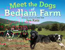 Book cover of Meet the Dogs of Bedlam Farm