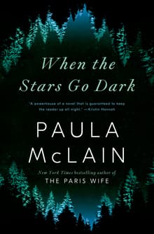 Book cover of When the Stars Go Dark