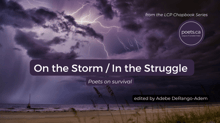 Book cover of On the Storm/In the Struggle: Poets on Survival