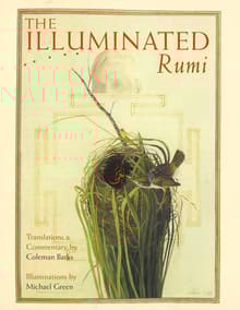 Book cover of The Illuminated Rumi