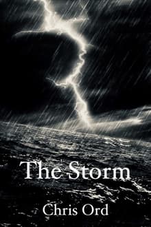 Book cover of The Storm