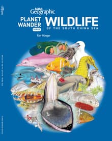 Book cover of Wildlife of the South China Sea