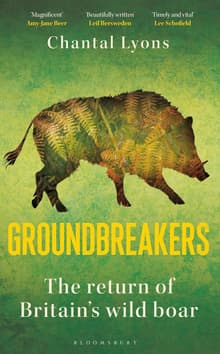 Book cover of Groundbreakers: The Return of Britain's Wild Boar