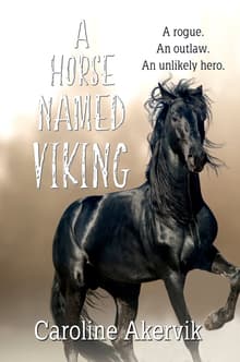 Book cover of A Horse Named Viking