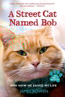 Book cover of A Street Cat Named Bob
