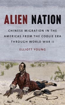 Book cover of Alien Nation: Chinese Migration in the Americas from the Coolie Era through World War II