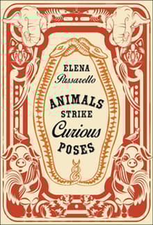 Book cover of Animals Strike Curious Poses