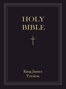 Book cover of Holy Bible