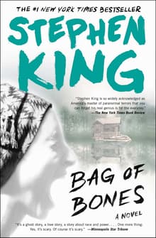 Book cover of Bag of Bones