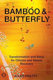 Book cover of Bamboo and Butterfly: Transformation and Story for Climate and Nature Recovery