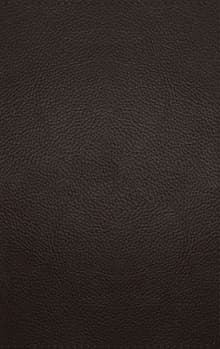 Book cover of ESV Thinline Bible