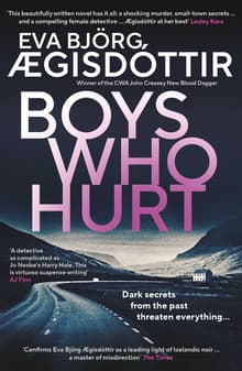 Book cover of Boys Who Hurt