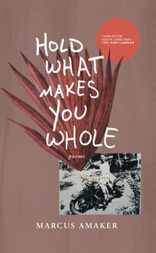 Book cover of Hold What Makes You Whole