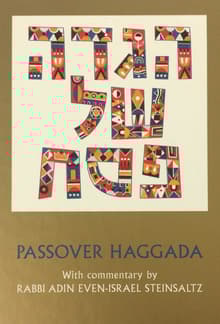 Book cover of Passover Haggada