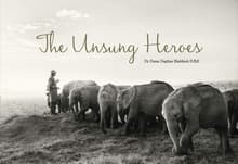Book cover of The Unsung Heroes
