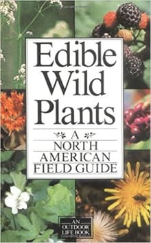 Book cover of Edible Wild Plants: A North American Field Guide