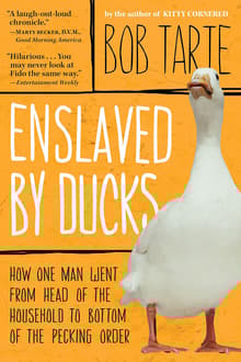 Book cover of Enslaved by Ducks
