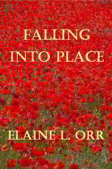 Book cover of Falling Into Place
