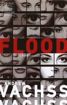 Book cover of Flood