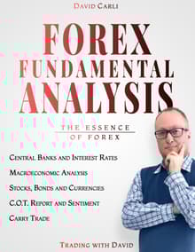 Book cover of Forex Fundamental Analysis: Trade Forex Like a Fund Manager
