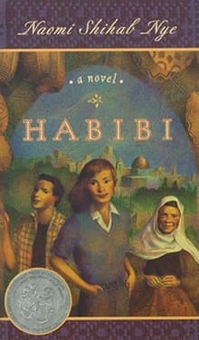 Book cover of Habibi