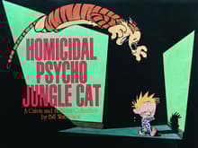 Book cover of Homicidal Psycho Jungle Cat