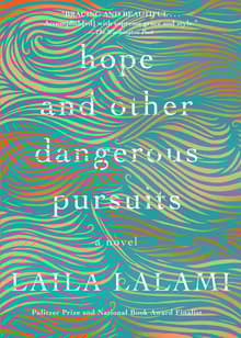 Book cover of Hope and Other Dangerous Pursuits
