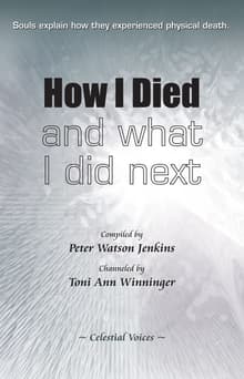 Book cover of How I Died and What I Did Next