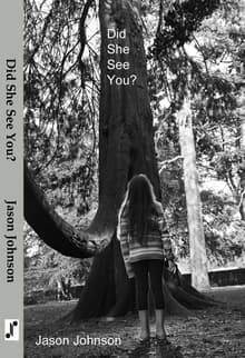 Book cover of Did She See You?