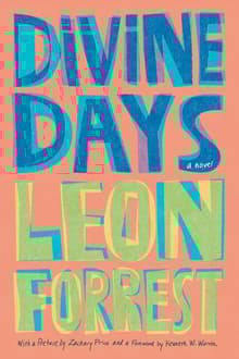 Book cover of Divine Days