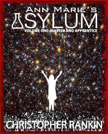 Book cover of Ann Marie's Asylum