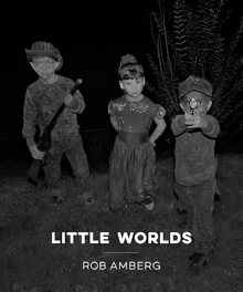 Book cover of Little Worlds