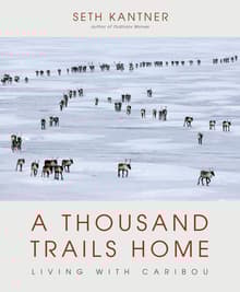 Book cover of A Thousand Trails Home: Living with Caribou