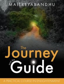 Book cover of The Journey and the Guide: A Practical Course in Enlightenment