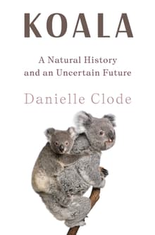 Book cover of Koala: The Extraordinary Life of an Enigmatic Animal