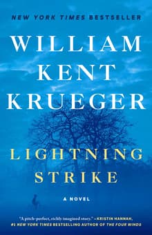 Book cover of Lightning Strike