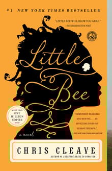 Book cover of Little Bee